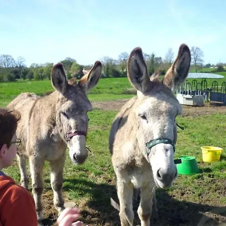 Camping 4 étoiles - Piscine - Efciab Soullans