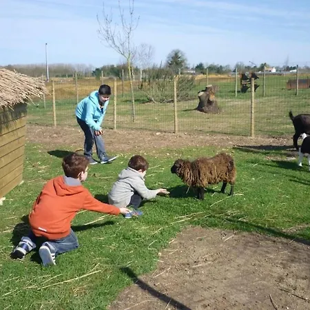 Zecamping 4 Etoiles Familial Pet Friendly Restaurant Et Espace Aquatique Campismo de Luxo Soullans