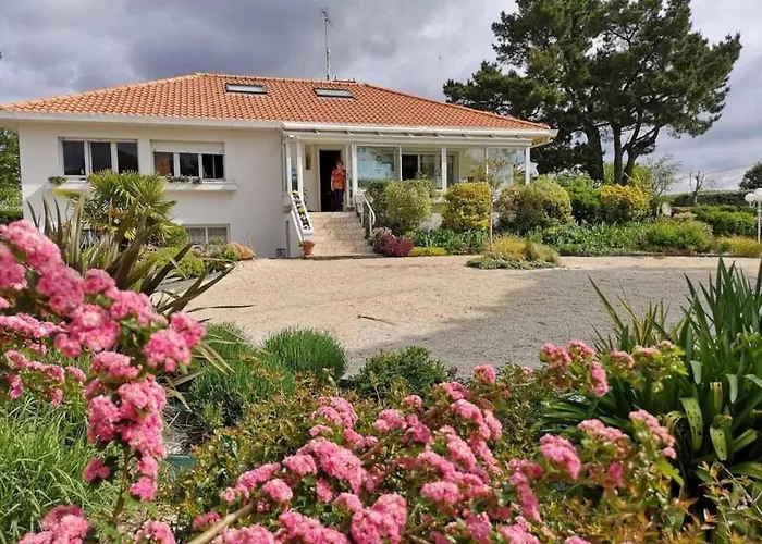 Kemp 4 Etoiles - Piscine - Efciab