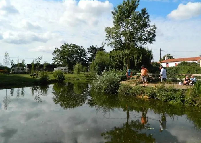 Kemp 4 Etoiles - Piscine - Efciab