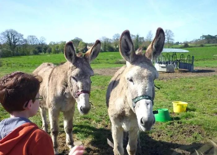Lüks kamp alanı Camping 4 Etoiles - Parc Aquatique - Efciab Soullans