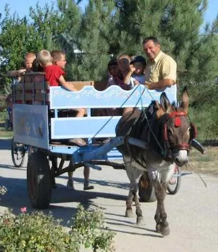 Kemp 4 Etoiles - Piscine - Efciab *