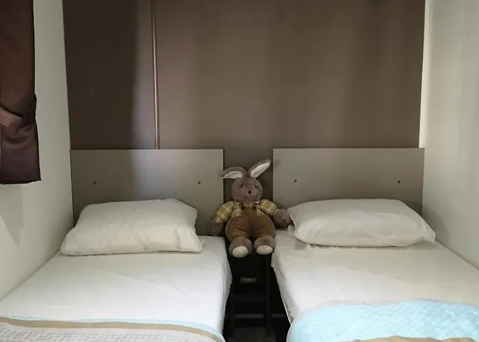 4 Etoiles - Piscine - Efciab *