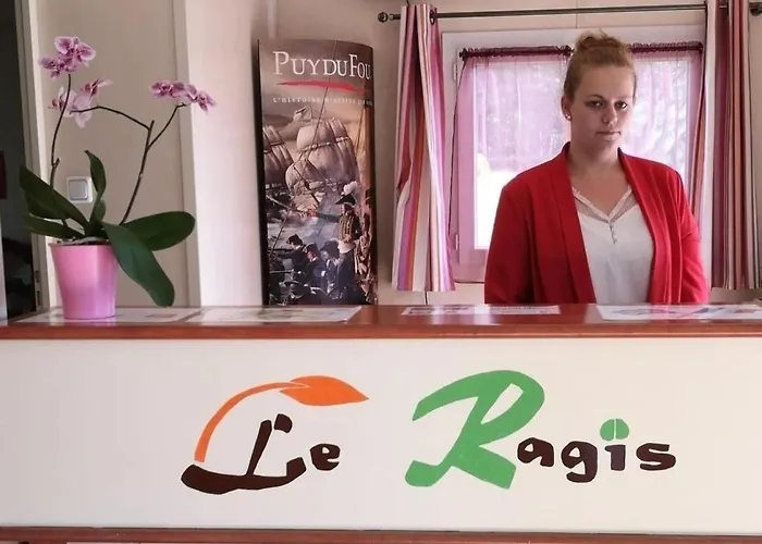 4 Etoiles - Piscine - Efciab * Soullans